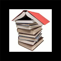 Lesedi Book Review